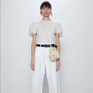 Zara Beige Voluminous Sleeve Top